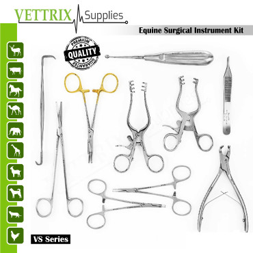 Equine Surgical Instrument Kit