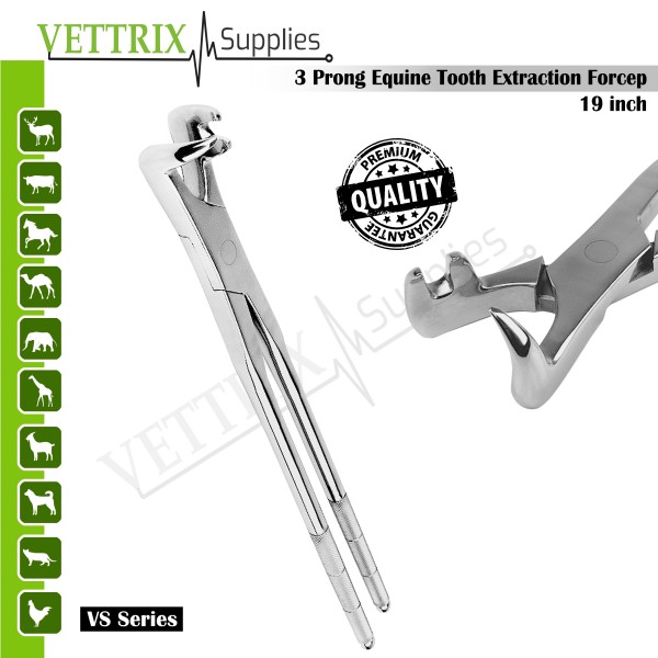 3 Prong Equine Tooth Extraction Forceps 19" 