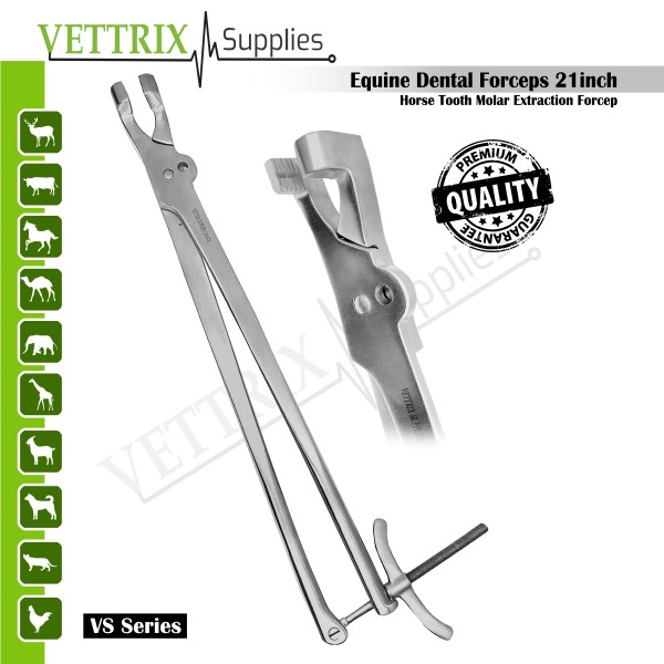 Equine Dental Forceps 21"- Horse Tooth Molar Extraction Forceps, Stainless Steel