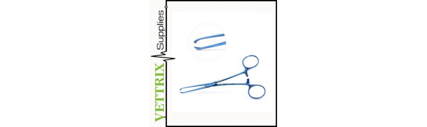 Intestinal Instruments Veterinary