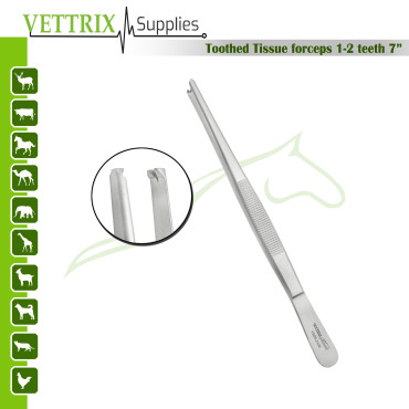 Tissue Forceps 1x2 Toothed 7"