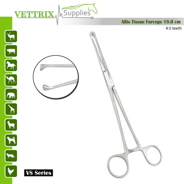 Allis Tissue Forceps, 19.0cm, 4:5 Teeth