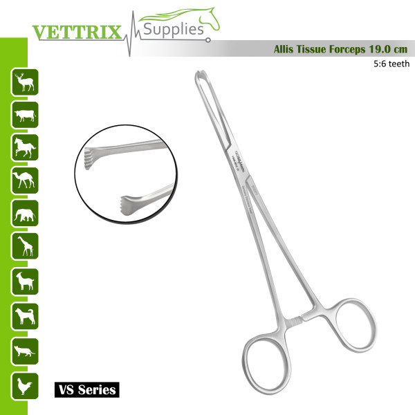 Allis Tissue Forceps,19.0cm, 5:6 Teeth