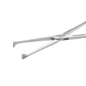 Allis Tissue Forceps,19.0cm, 5:6 Teeth