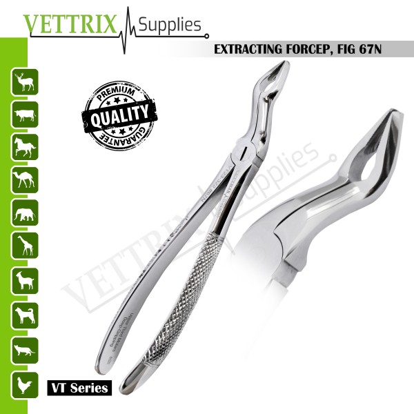 EXTRACTING FORCEP, FIG 67N 
