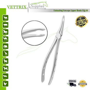 Extracting Forceps Upper Roots Fig 44 