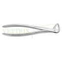 Extracting Forceps Lower Roots Fig#74N, German SS, CE