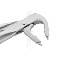 Extracting Forceps Lower Premolars Deep-Gripping Fig.36