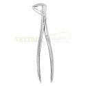 Extracting Forceps Lower Premolars Deep-Gripping Fig.336