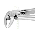 Extracting Forceps Lower Premolars Fig. 13 