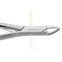 Extracting Forceps Upper Anterior And Root Fig. 365/150SK