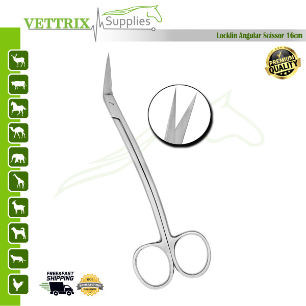 Locklin Scissors Angular 16cm 