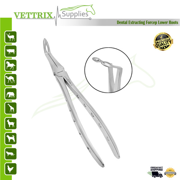 Extracting Forceps Lower Roots