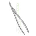 Extracting Forceps Lower Roots