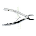 Extracting Forceps Klein # 137 Upper Incisors