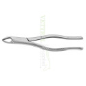 Extracting Forceps Fig. 150 Apical Upper Universal Forceps.