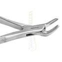 Extracting Forceps Fig. 151 Apical Lower Universal Forceps.