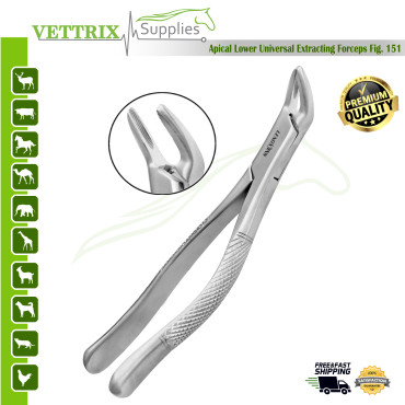 Extracting Forceps Fig. 151 Apical Lower Universal Forceps.