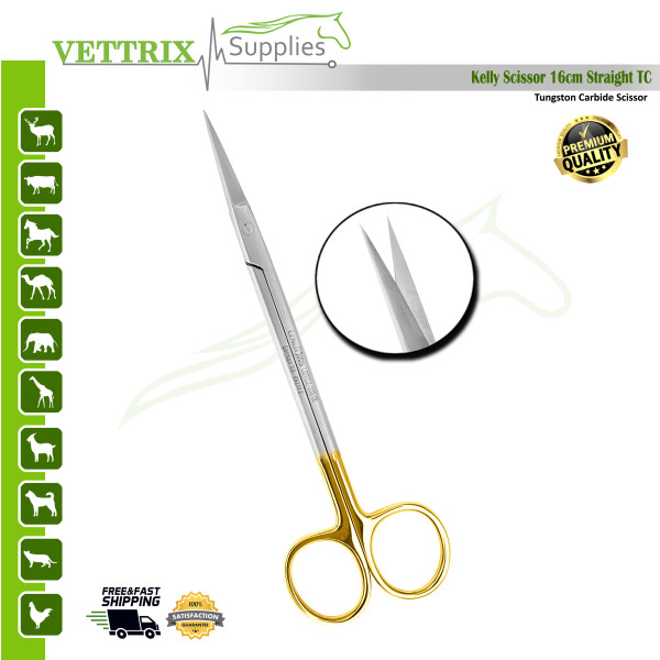 Kelly Scissors 16cm STR TC