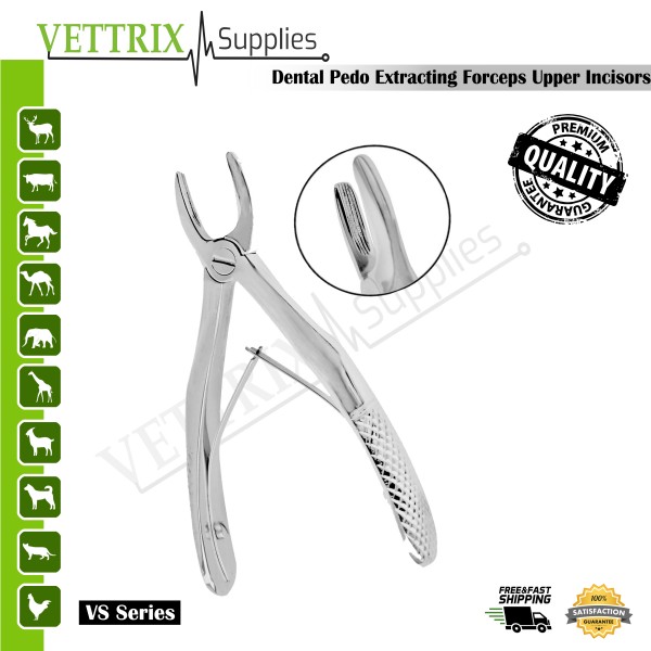 Extracting Forceps Klein #137 Upper Incisors | Vettrix Supplies