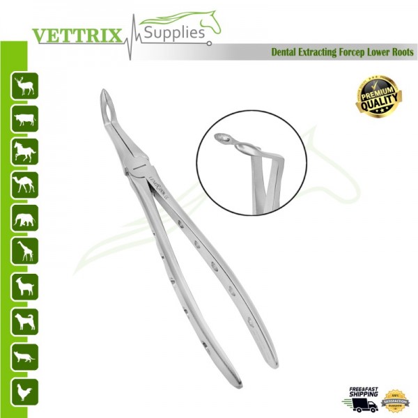 Extracting Forceps Lower Roots | Vettrix Supplies