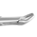 Extracting Forceps Fig. 150 Apical Upper Universal Forceps | Vettrix Supplies
