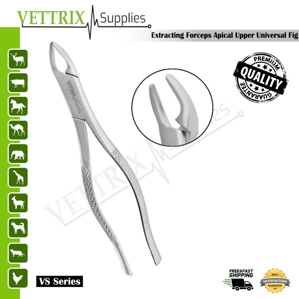 Extracting Forceps Fig. 150 Apical Upper Universal Forceps | Vettrix Supplies