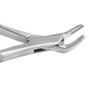 Extracting Forceps Fig. 151 Apical Lower Universal Forceps | Vettrix Supplies