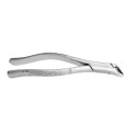Extracting Forceps Fig. 151 Apical Lower Universal Forceps | Vettrix Supplies