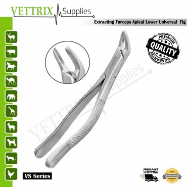 Extracting Forceps Fig. 151 Apical Lower Universal Forceps | Vettrix Supplies
