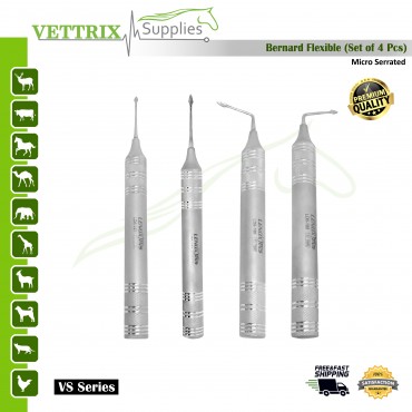 Super Flexible Periotome Bernard Set of 4 | Vettrix Supplies