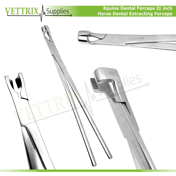 Equine Dental Forceps 21"-Horse Dental Extracting Forceps, Stainless Steel