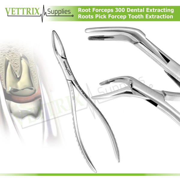 Root Forceps 300 Dental Extracting Roots Pick Forcep Tooth Extraction Instrument