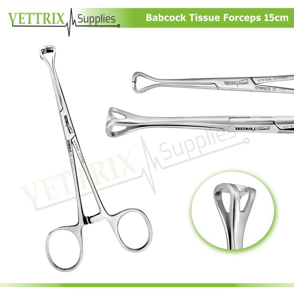 Babcock Tissue Forceps 15cm Veterinary Surgical Instruments Forceps