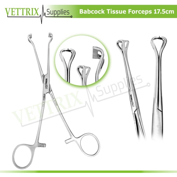 Babcock Tissue Forceps 17.5cm Veterinary Surgical Instruments Forceps
