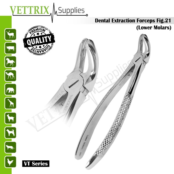 Dental extraction forceps fig.21 Lower Molars