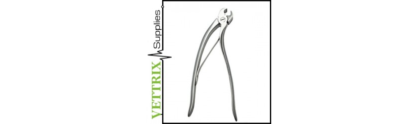 Equine Dental Instruments