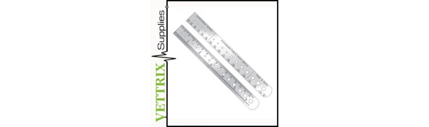 Measuring Ruler