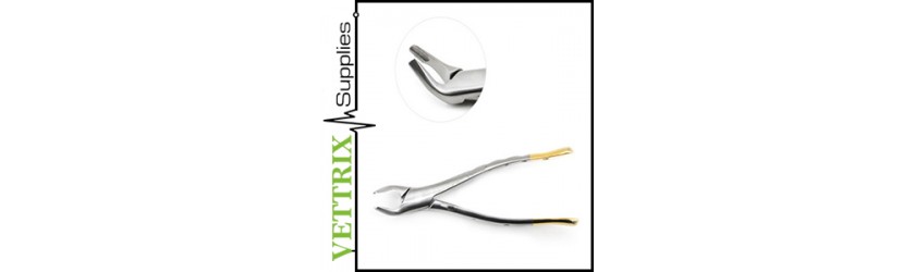 Dental Extraction Forceps