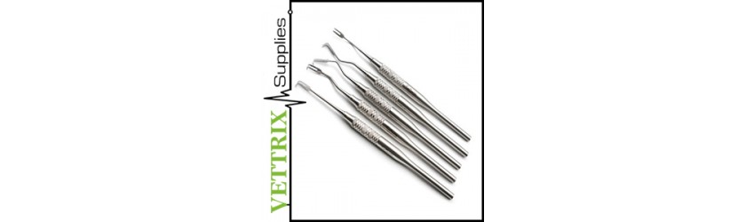 Dental Retractors