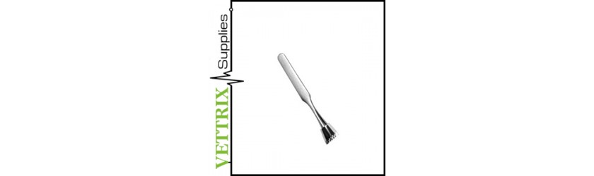 Dental Spatula