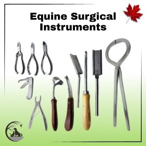 Equine Surgical Instruments