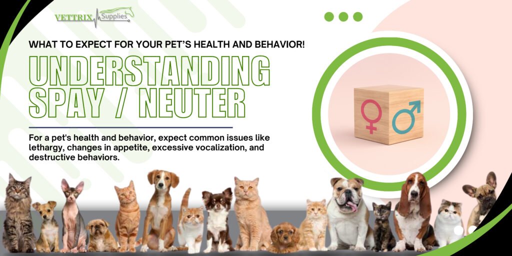 Veterinarian explaining effects of spay neuter for pets