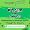Seasonal pet health trends and care tips