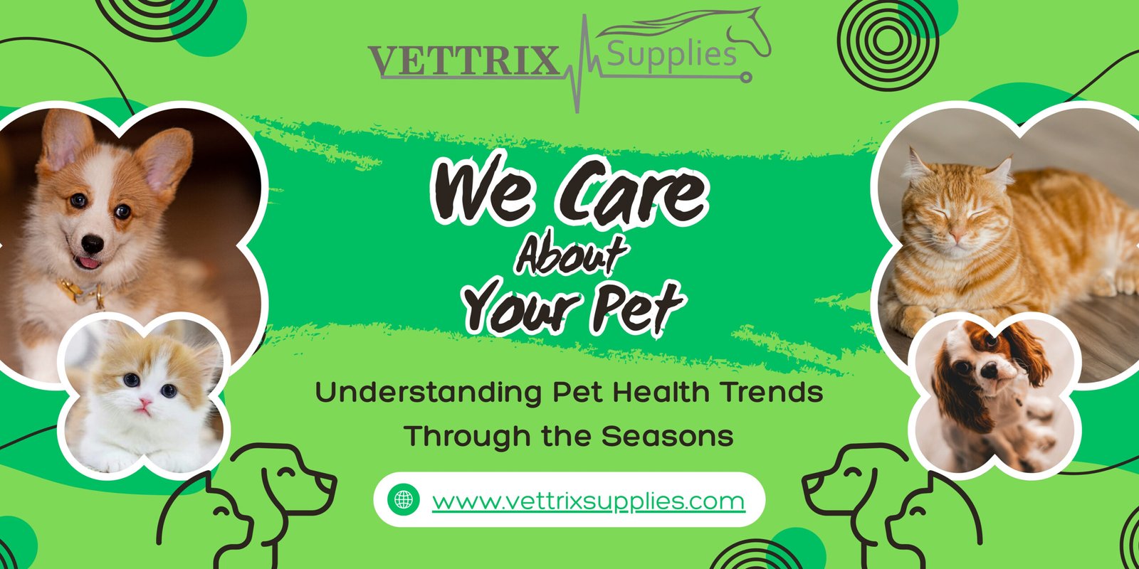 Seasonal pet health trends and care tips