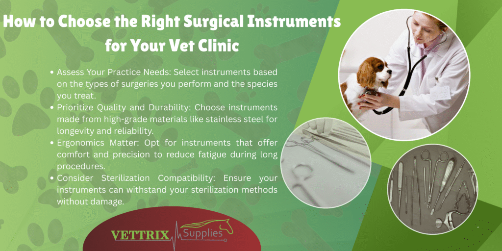 Veterinary surgeon choosing surgical instruments
