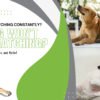 Dog scratching constantly due to skin irritation