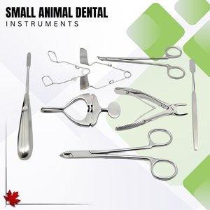 Small Animal Dental Instruments