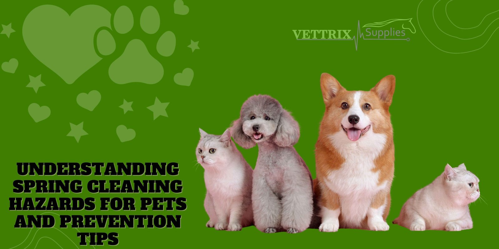 Spring cleaning hazards for pets with prevention tips