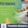 Veterinary tools for treating common pet injuries